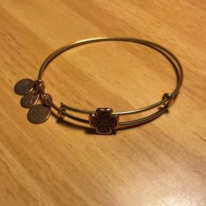 Celtic Alex and Ani bracelet